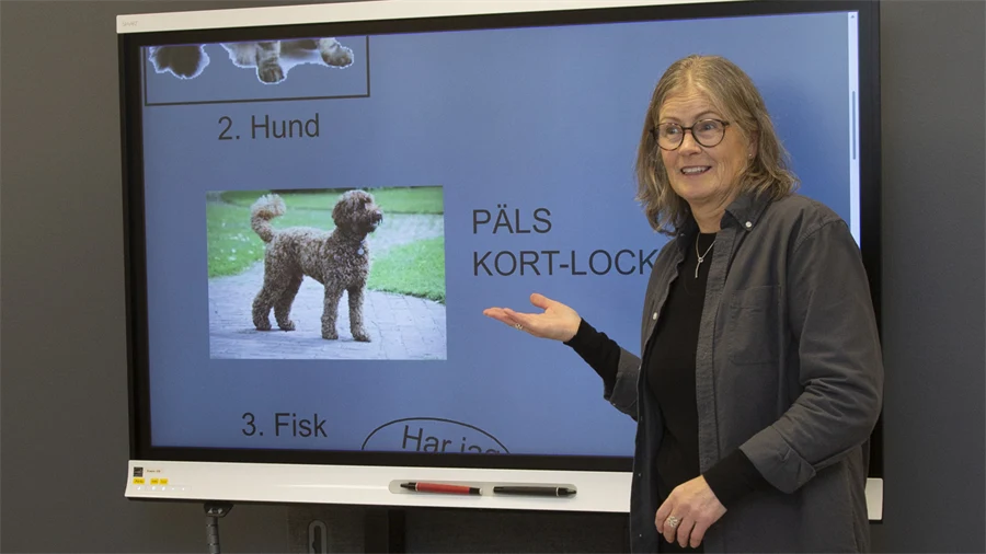 Kvinna framför smartboard.
