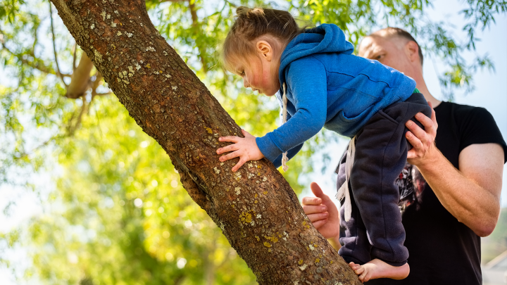 Barnet klättrar i ett träd. En vuxen håller försiktigt en hand mot barnet som stöd.