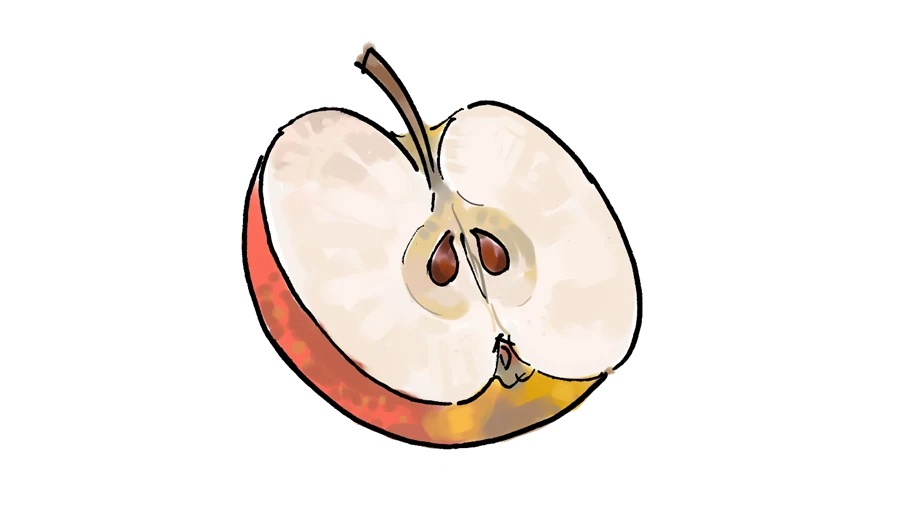 Illustrationen visar äpple som är kluvet på mitten.