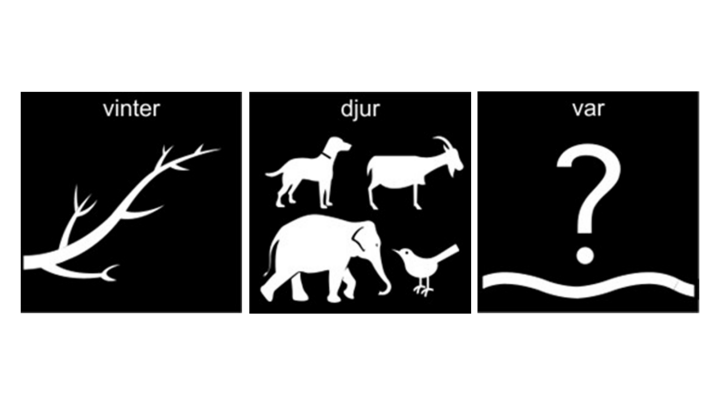 Pictogram för: Vinter, djur, vår.