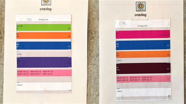 Bilden visar scheman med olika färger för olika lektioner