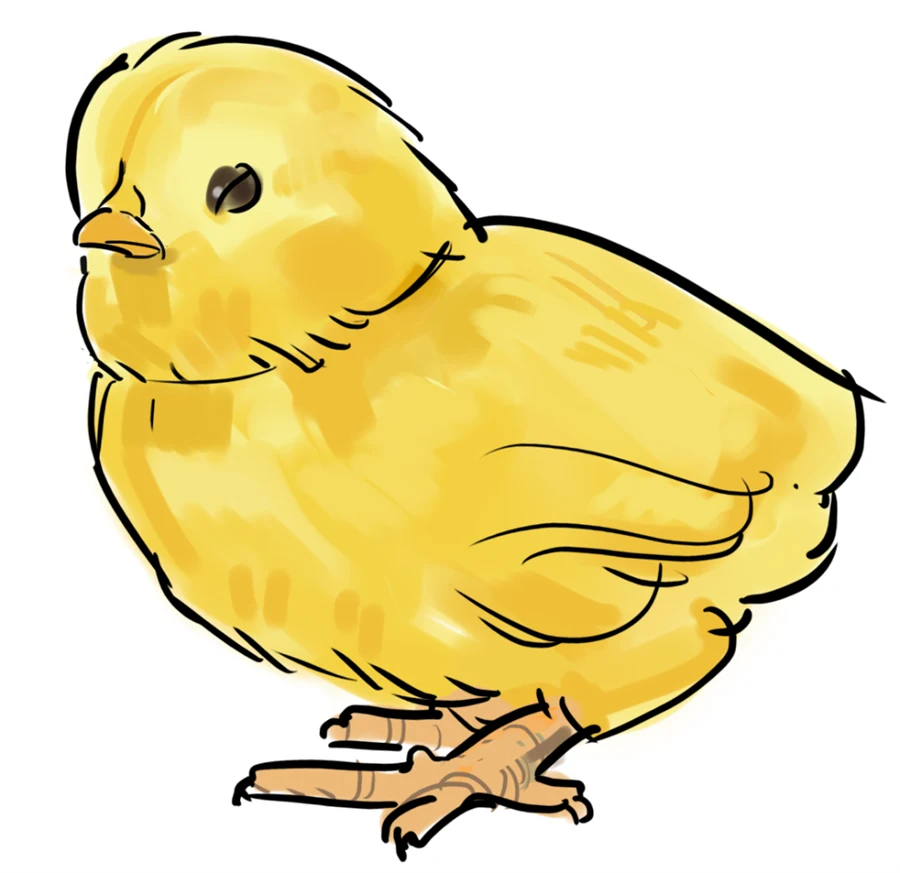 Illustration av en kyckling