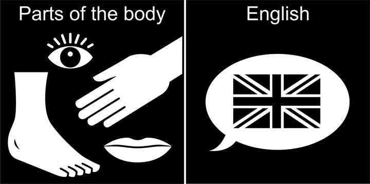 Pictogram: Kroppsdelar och engelska.