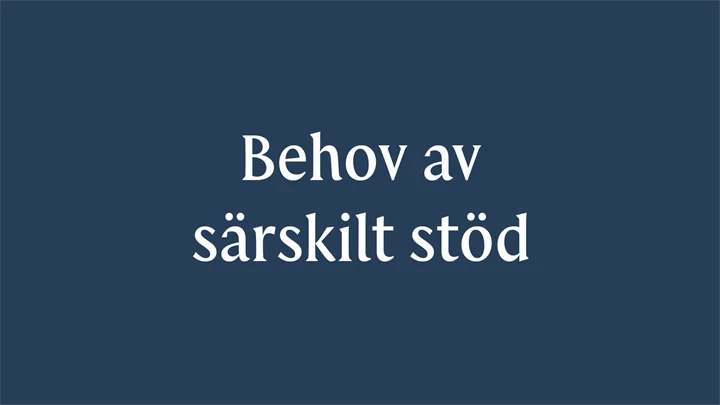 Text: Behov av särskilt stöd.